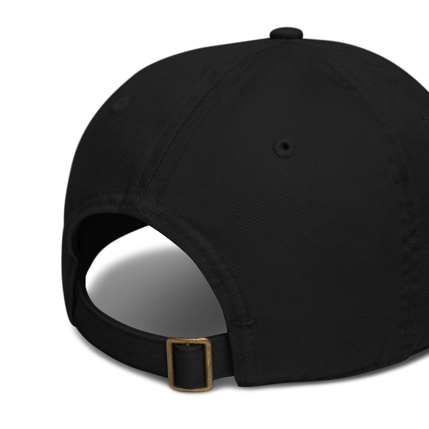 ZPA Baseball Hat